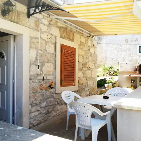Oasis Veli Rat