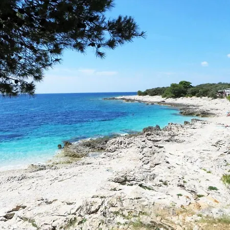 Appartamento Oasis - 50 M From The Sea *