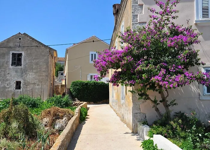 Appartamento Oasis Veli Rat