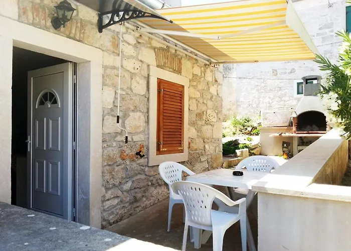Oasis Veli Rat